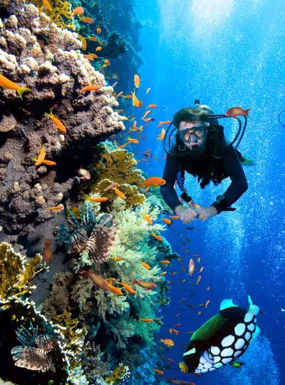 Diving Activities Diving Activities